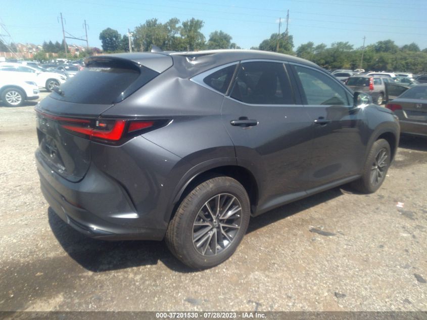 2023 LEXUS NX 350 - 2T2AGCEZ5PC017560