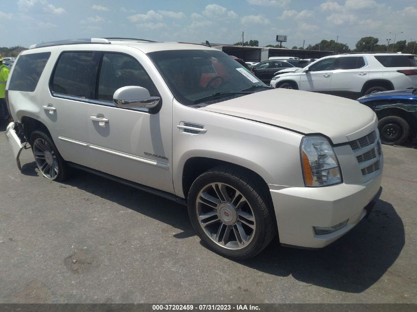 2013 CADILLAC ESCALADE PREMIUM - 1GYS3CEF2DR239219