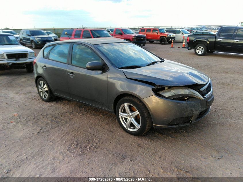2013 KIA FORTE 5-DOOR EX - KNAFU5A2XD5687814