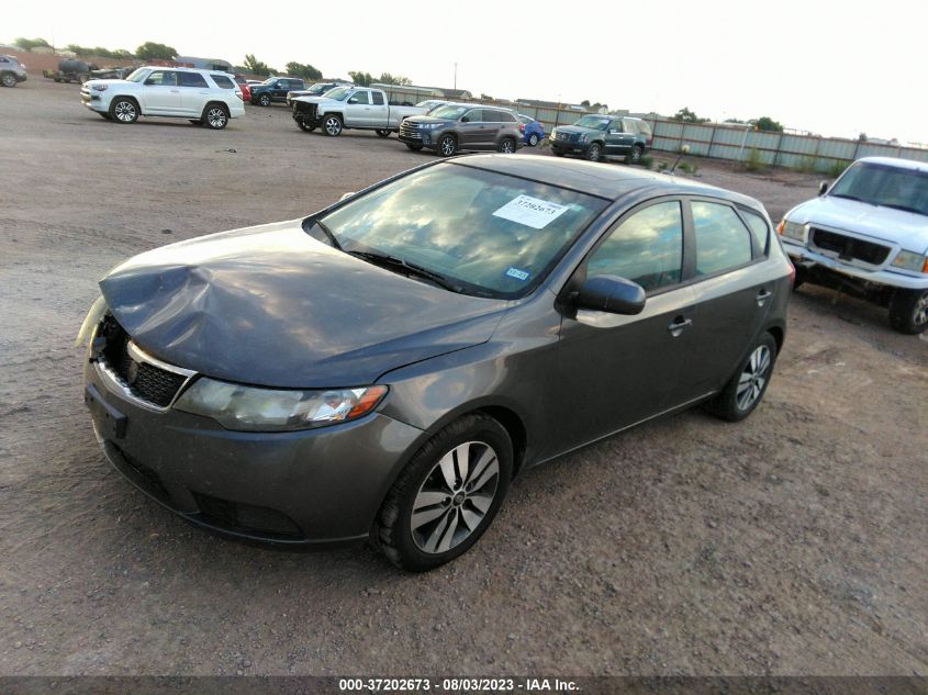 2013 KIA FORTE 5-DOOR EX - KNAFU5A2XD5687814
