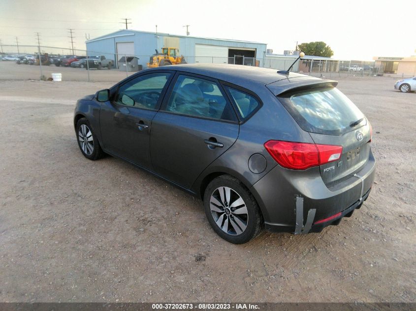 2013 KIA FORTE 5-DOOR EX - KNAFU5A2XD5687814