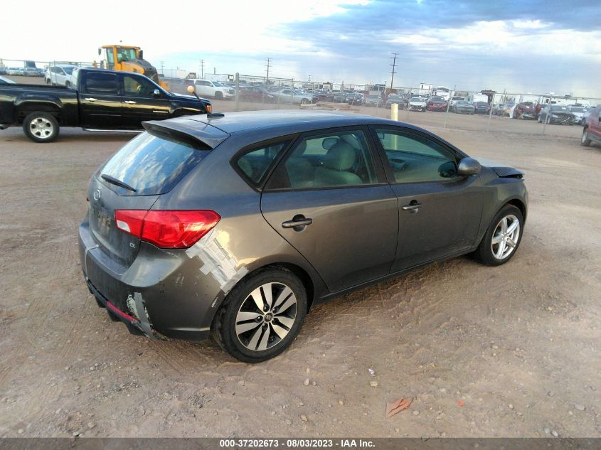 2013 KIA FORTE 5-DOOR EX - KNAFU5A2XD5687814