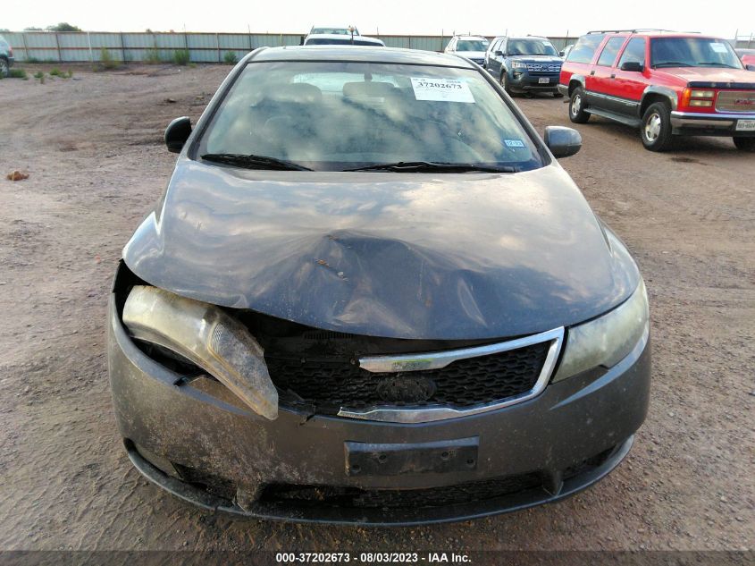 2013 KIA FORTE 5-DOOR EX - KNAFU5A2XD5687814