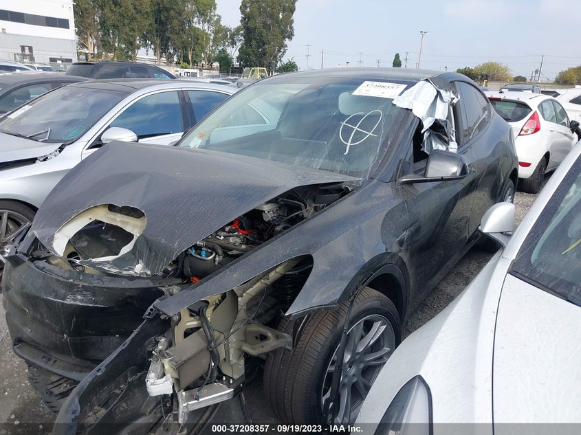 VIN 7SAYGDEE9PA113791 2023 TESLA MODEL Y LONG RANGE