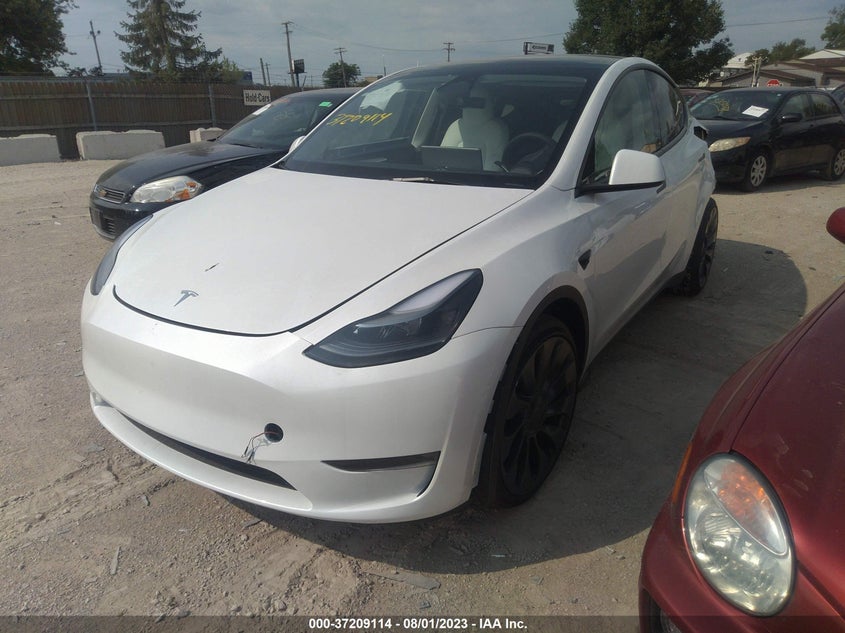 VIN 7SAYGDEFXPF705258 2023 TESLA MODEL Y