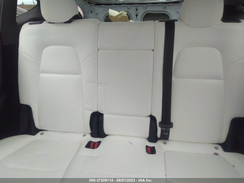VIN 7SAYGDEFXPF705258 2023 TESLA MODEL Y