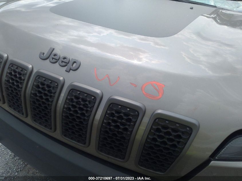 2019 JEEP CHEROKEE TRAILHAWK - 1C4PJMBX2KD231409