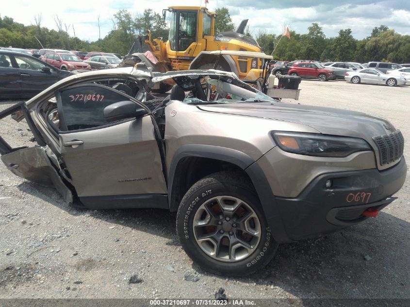 2019 JEEP CHEROKEE TRAILHAWK - 1C4PJMBX2KD231409