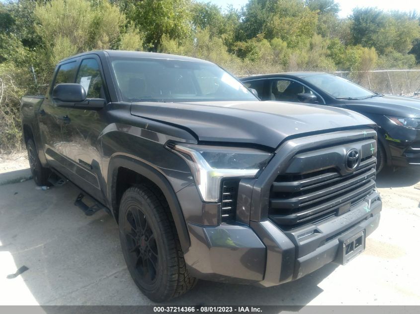 2022 TOYOTA TUNDRA 2WD SR5 - 5TFLA5AB5NX013008