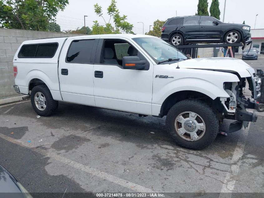 2013 FORD F-150 XL/XLT - 1FTEW1CM9DFE06287