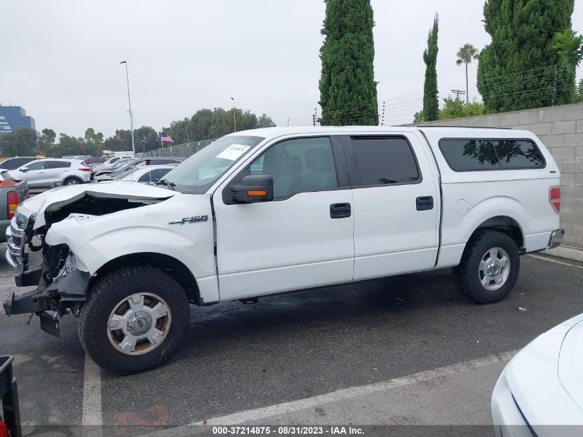 2013 FORD F-150 XL/XLT - 1FTEW1CM9DFE06287