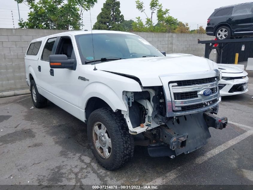 2013 FORD F-150 XL/XLT - 1FTEW1CM9DFE06287