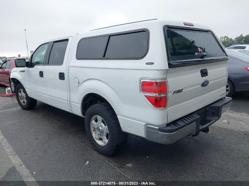 2013 FORD F-150 XL/XLT - 1FTEW1CM9DFE06287