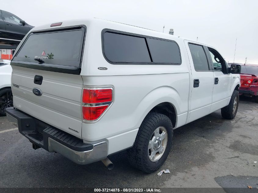 2013 FORD F-150 XL/XLT - 1FTEW1CM9DFE06287