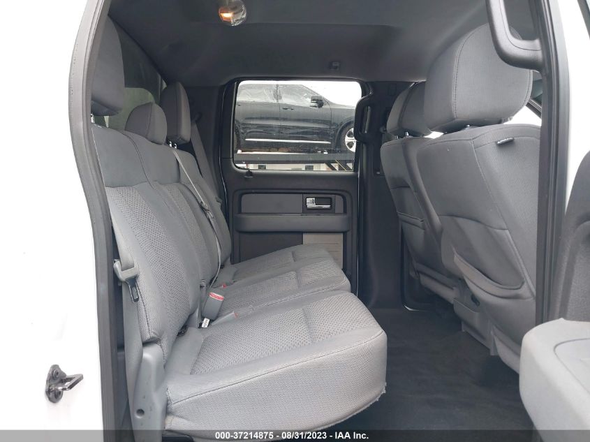 2013 FORD F-150 XL/XLT - 1FTEW1CM9DFE06287