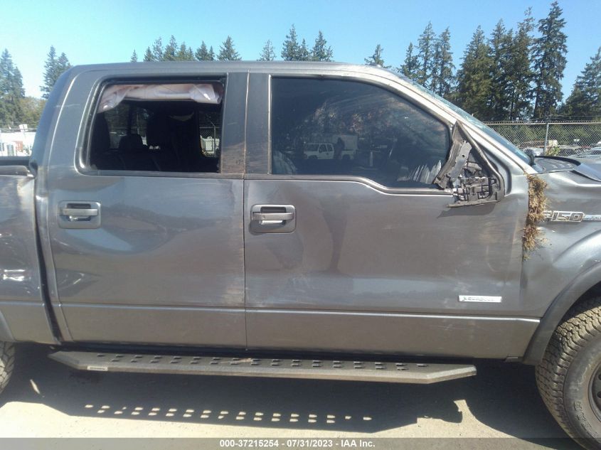 2013 FORD F-150 XL/XLT/FX4/LARIAT - 1FTFW1ET2DFC13309