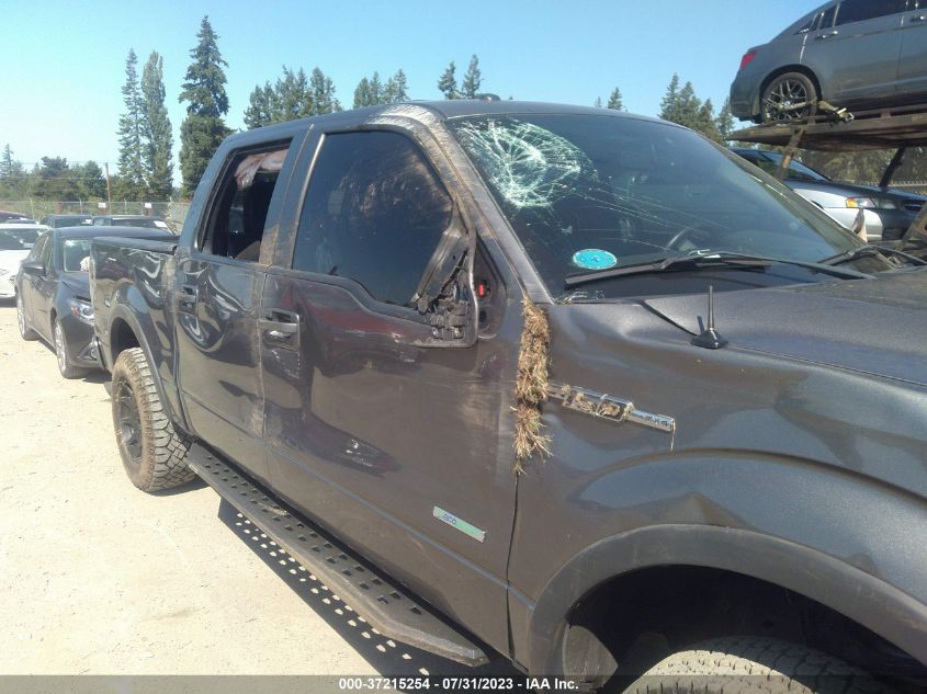 2013 FORD F-150 XL/XLT/FX4/LARIAT - 1FTFW1ET2DFC13309