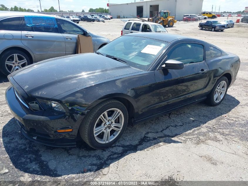 2014 FORD MUSTANG V6 - 1ZVBP8AM1E5324229