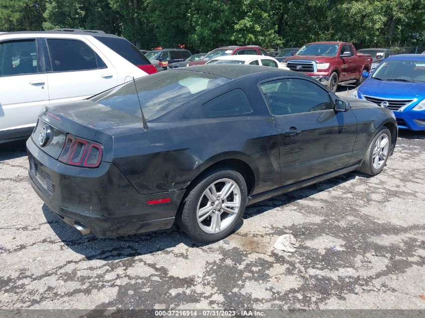 2014 FORD MUSTANG V6 - 1ZVBP8AM1E5324229