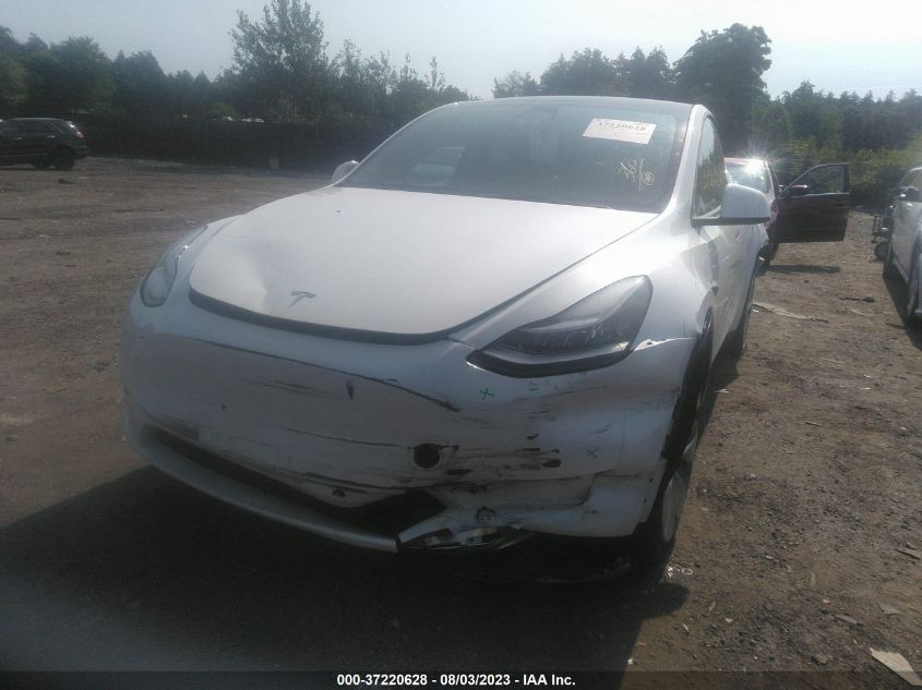 2023 TESLA MODEL Y - 7SAYGDEEXPA083362