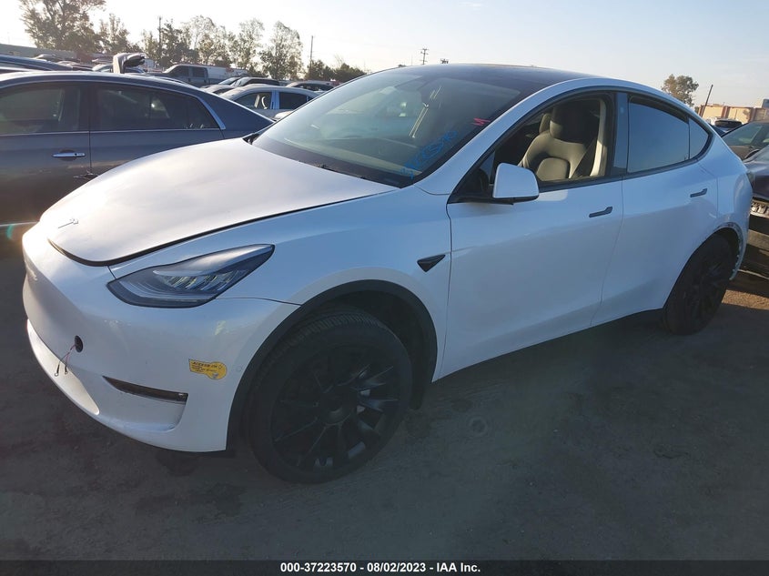 VIN 7SAYGDEE1NF447359 2022 TESLA MODEL Y LONG RANGE