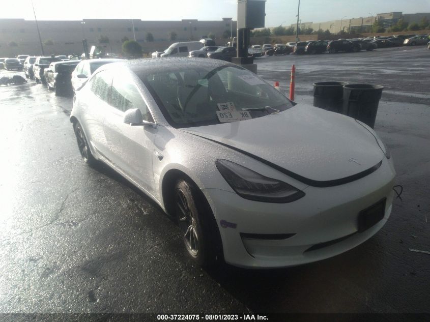 2019 TESLA MODEL 3 RANGE - 5YJ3E1EA8KF431809