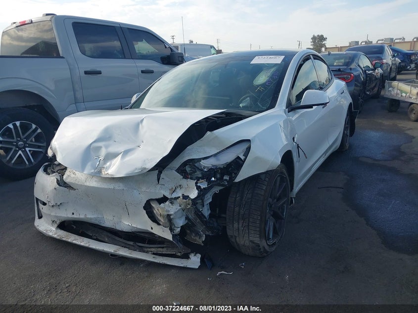 VIN 5YJ3E1EB2MF034169 2021 TESLA MODEL 3