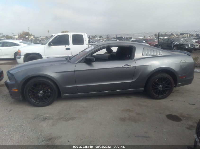 2014 FORD MUSTANG V6 - 1ZVBP8AM3E5253566