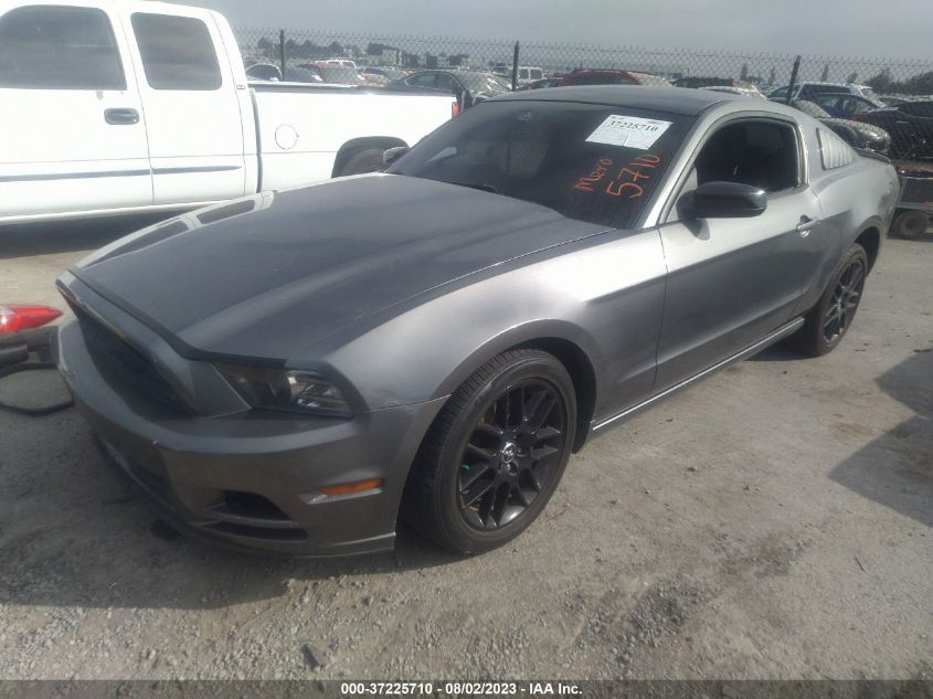 2014 FORD MUSTANG V6 - 1ZVBP8AM3E5253566