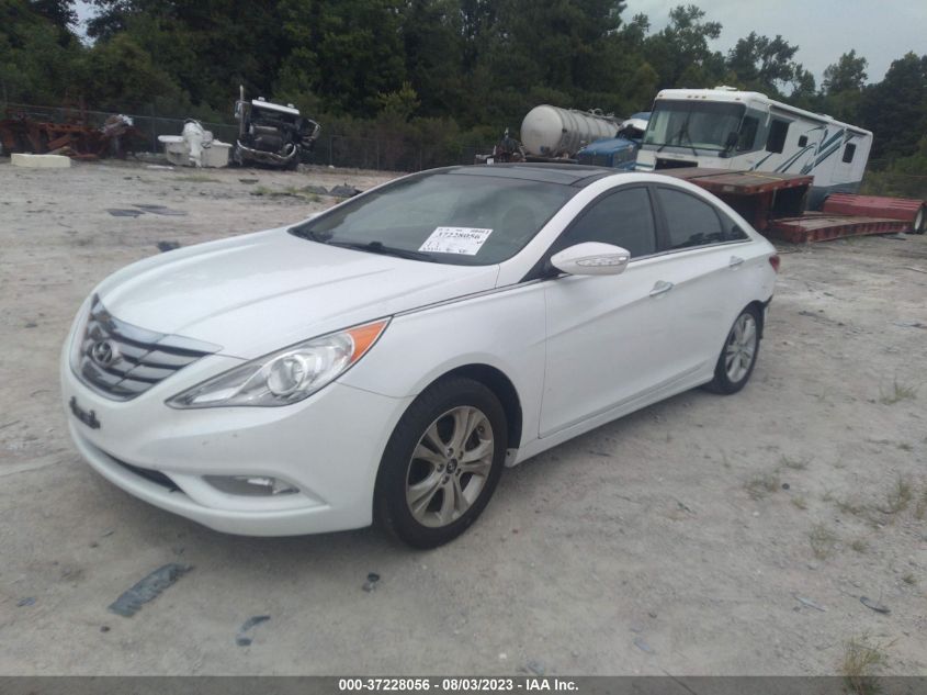 2013 HYUNDAI SONATA LIMITED - 5NPEC4AC3DH800684