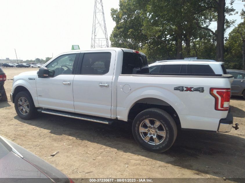 2017 FORD F-150 XL/XLT/LARIAT - 1FTEW1EG5HFB50923