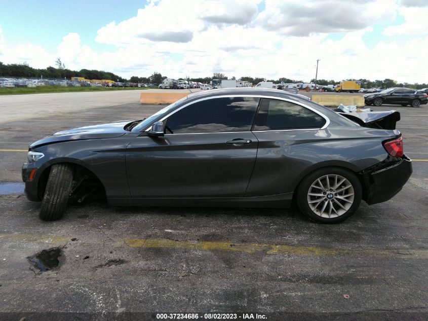 2016 BMW 2 SERIES 228I - WBA1F9C58GV742459