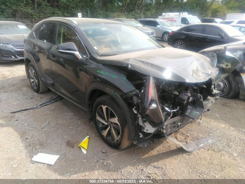 JTJGJRDZ9M2158627 LEXUS NX 300H BASE/300H LUXURY/300 2021
