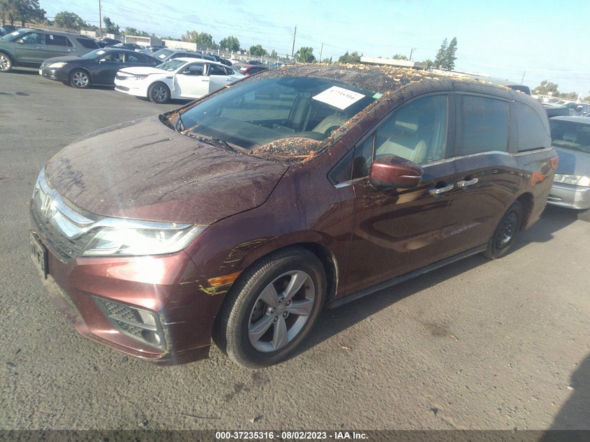 VIN 5FNRL6H79JB097110 2018 HONDA ODYSSEY EX-L
