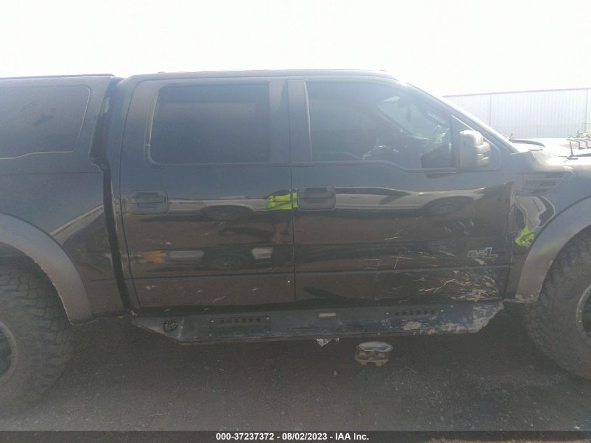 2013 FORD F-150 SVT RAPTOR - 1FTFW1R64DFA31633