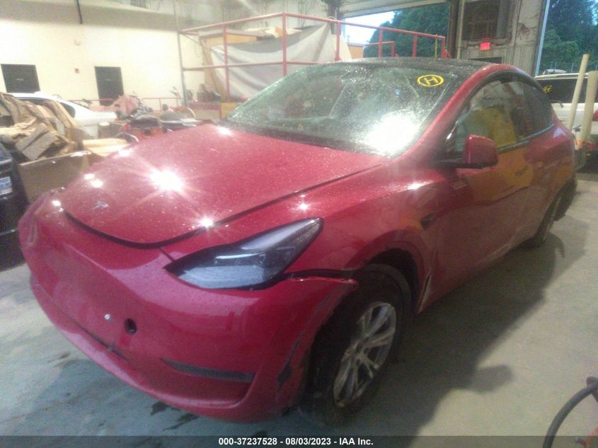 VIN 7SAYGDEE2NF564139 2022 TESLA MODEL Y LONG RANGE