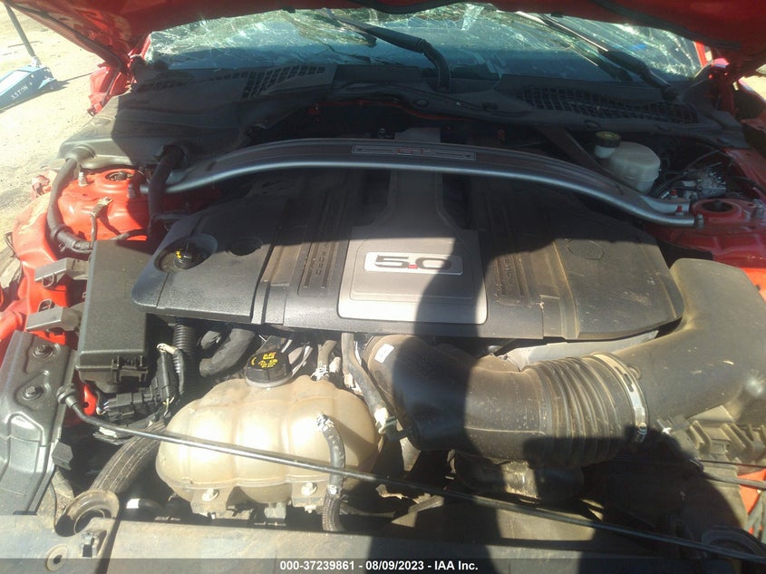 VIN 1FA6P8CF8K5188332 2019 FORD MUSTANG GT