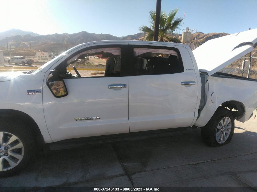2013 TOYOTA TUNDRA 2WD TRUCK LTD/PLATINUM - 5TFFY5F12DX135719