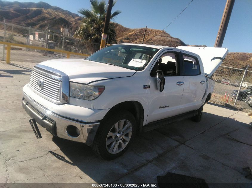 2013 TOYOTA TUNDRA 2WD TRUCK LTD/PLATINUM - 5TFFY5F12DX135719