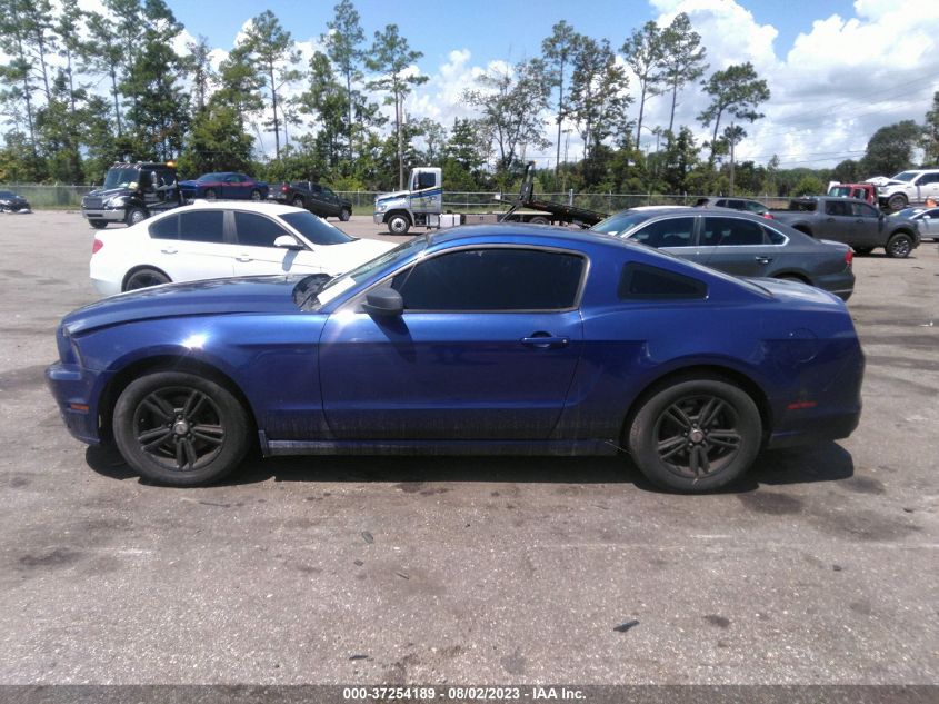2014 FORD MUSTANG V6 - 1ZVBP8AM6E5325277