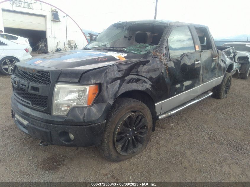 2013 FORD F-150 XL/XLT/FX4/LARIAT - 1FTFW1EF8DFA47548