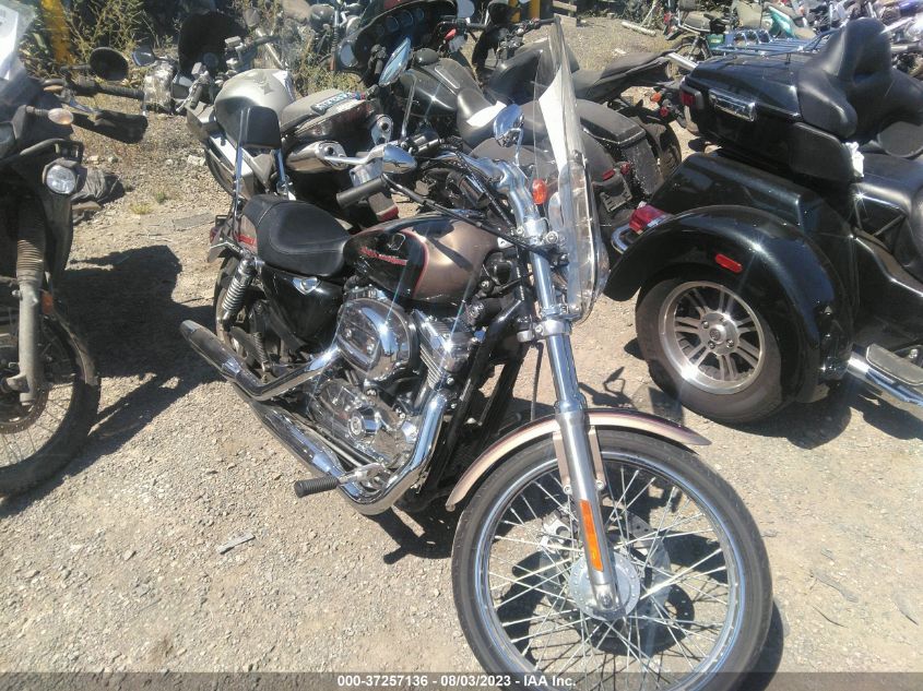 2004 HARLEY-DAVIDSON XL1200 C - 1HD1CGP164K441028