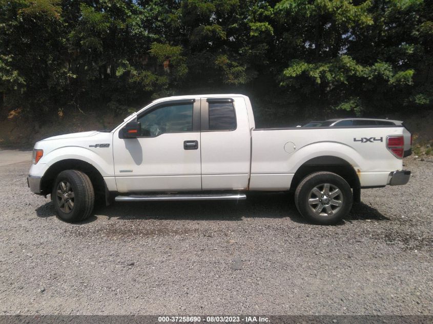 2013 FORD F-150 XL/XLT/FX4/LARIAT - 1FTFX1ET0DFA88534