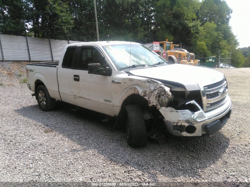 2013 FORD F-150 XL/XLT/FX4/LARIAT - 1FTFX1ET0DFA88534