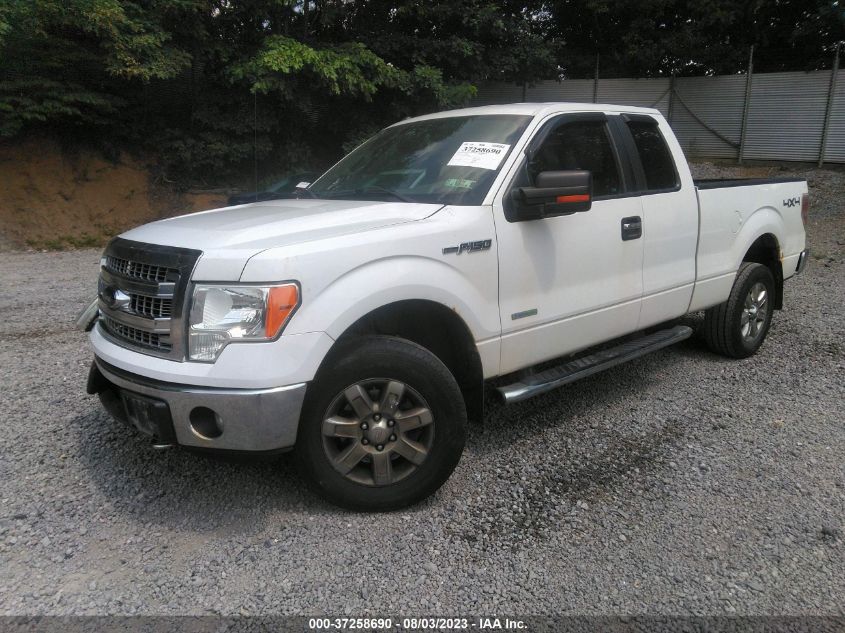 2013 FORD F-150 XL/XLT/FX4/LARIAT - 1FTFX1ET0DFA88534