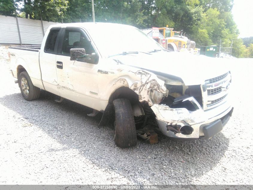 2013 FORD F-150 XL/XLT/FX4/LARIAT - 1FTFX1ET0DFA88534