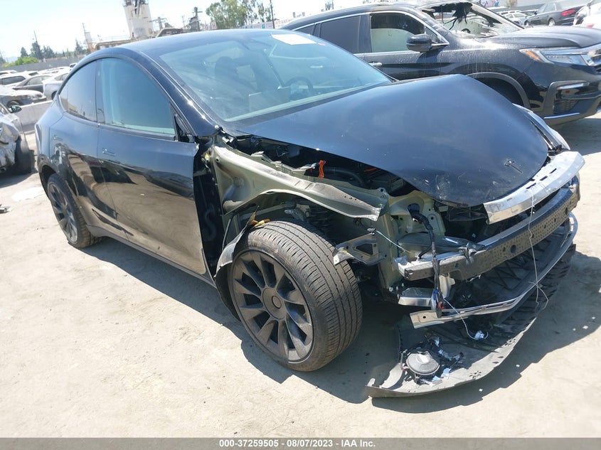 VIN 7SAYGDEE6PA030979 2023 TESLA MODEL Y LONG RANGE