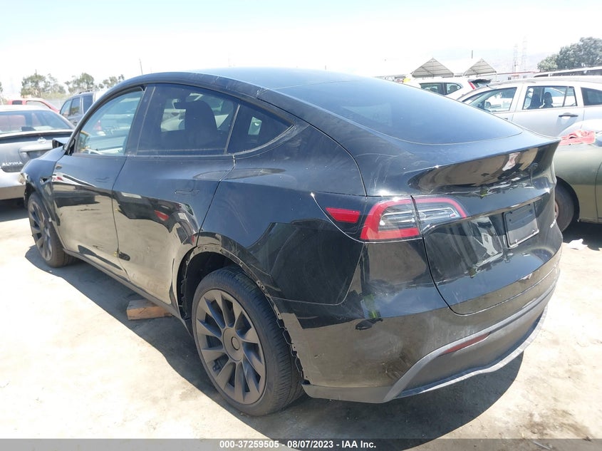 VIN 7SAYGDEE6PA030979 2023 TESLA MODEL Y LONG RANGE