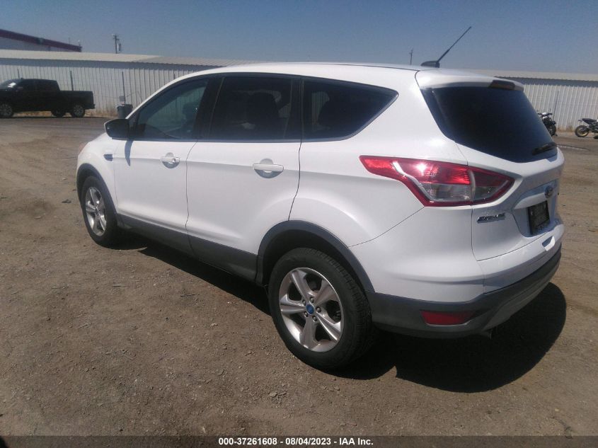2013 FORD ESCAPE SE - 1FMCU0GX0DUB24462