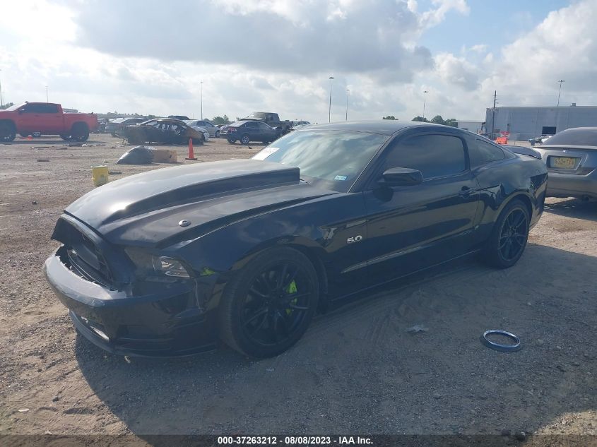 2014 FORD MUSTANG GT - 1ZVBP8CF0E5237095